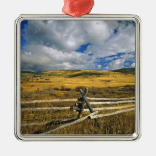 Mount Haggin NWR near Anaconda Montana Metal Tree Decoration