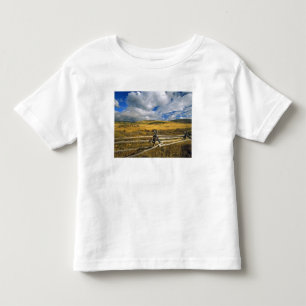 Mount Haggin NWR near Anaconda Montana Toddler T-Shirt
