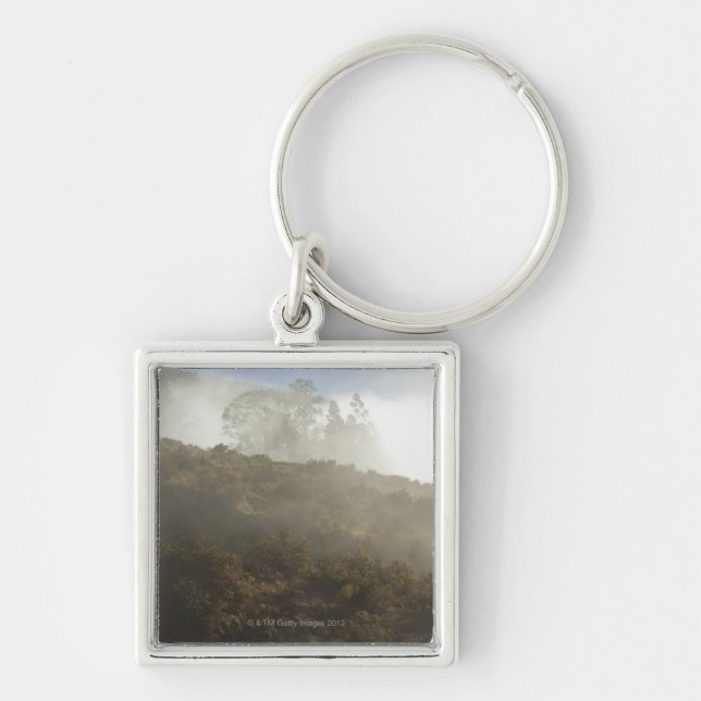 Mount Haleakala, Maui, Hawaii, USA Key Ring (Front)