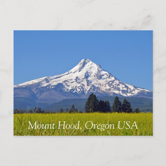 Mount Hood in Oregon USA Postcard (Front)