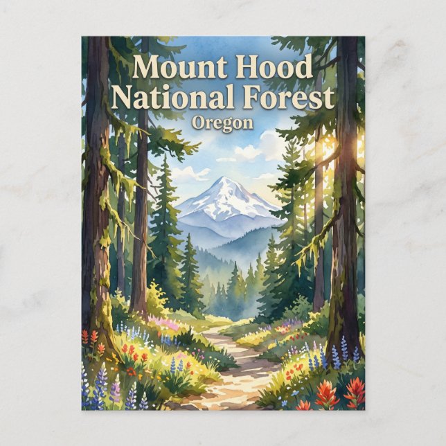 Mount Hood National Forest Oregon Postcard (Front)