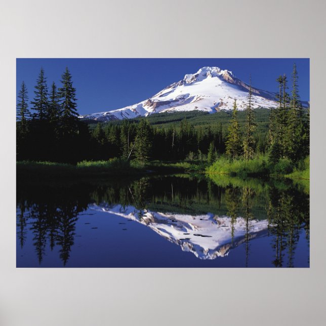 Mount Hood Oregon Poster (Front)