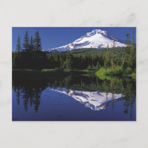 Mount Hood Postcard
