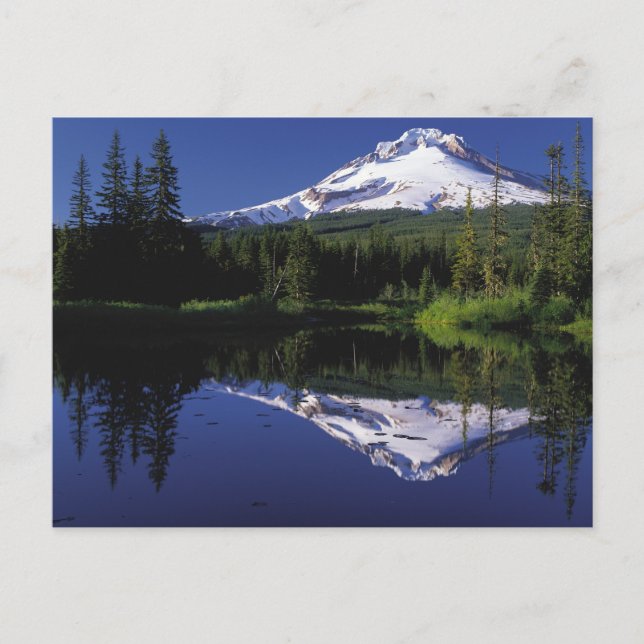 Mount Hood Postcard (Front)