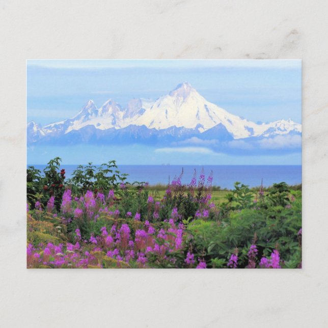 Mount Iliamna in Alaska Postcard (Front)