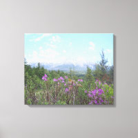 Mount Katahdin and Wild Flowers