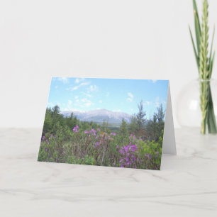 Mount Katahdin and wildflowers Card