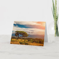 Mount Kilimanjaro | Amboseli, Kenya
