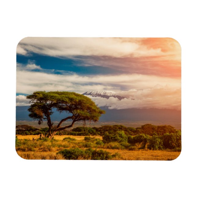 Mount Kilimanjaro | Amboseli, Kenya Magnet (Horizontal)