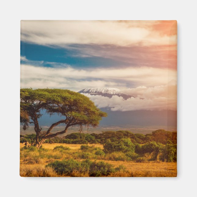 Mount Kilimanjaro | Amboseli, Kenya Magnet (Front)