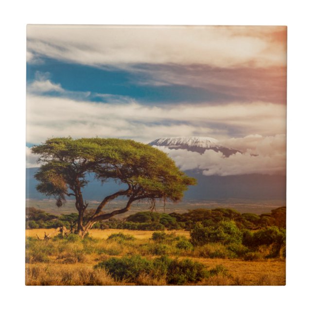Mount Kilimanjaro | Amboseli, Kenya Tile (Front)