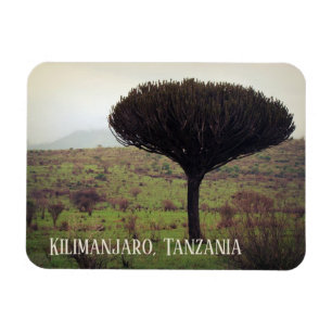 Mount Kilimanjaro, Candelabra Tree Magnet
