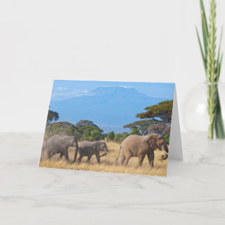 Mount Kilimanjaro elephants Card