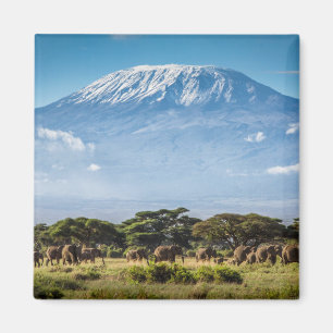 Mount Kilimanjaro Magnet