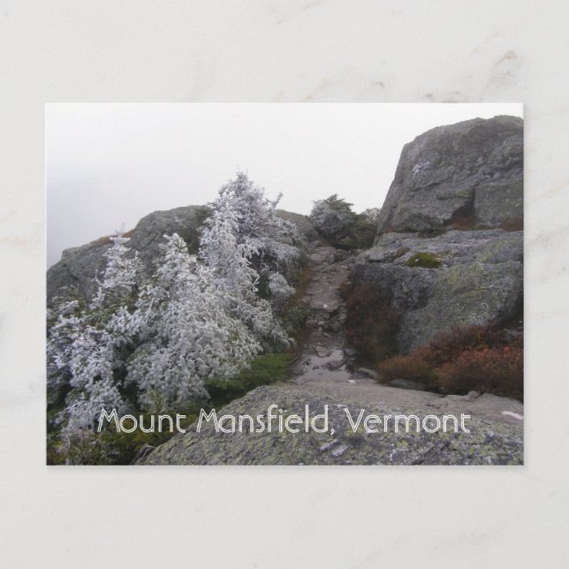 Mount Mansfield, Vermont Postcard (Front)