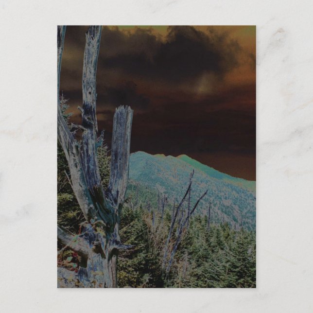 Mount Mitchell, North Carolina Postcard (Front)