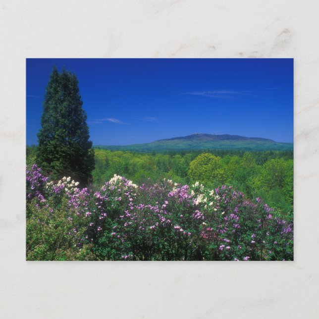 Mount Monadnock from Cathedral of the Pines Postcard (Front)