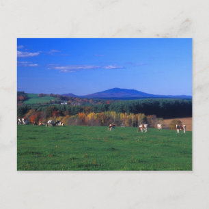 Mount Monadnock from Templeton MA Postcard
