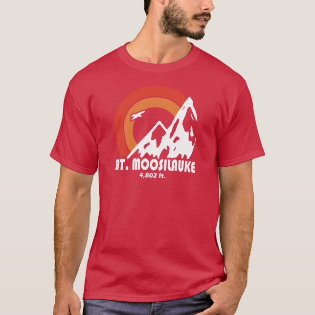 Mount Moosilauke New Hampshire Sun Eagle friends T-Shirt (Front)