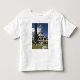 Mount of the Beatitudes Toddler T-Shirt