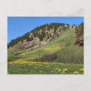 Mount Otis postcard
