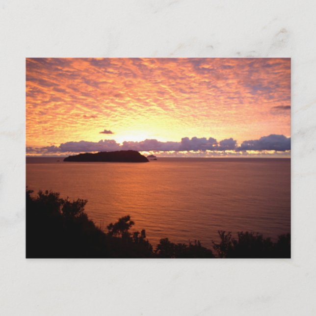 Mount Paku Sunrise Posters Postcard (Front)