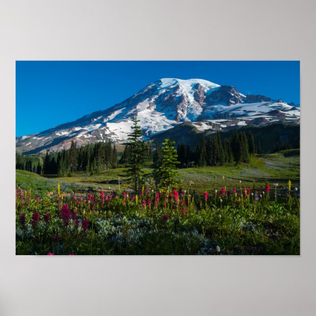 Mount Rainer wildflowers Poster (Front)