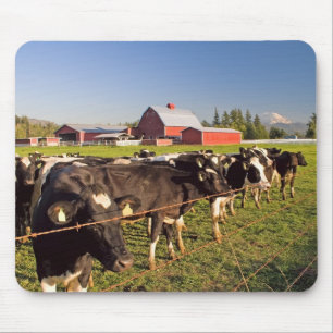 Mount Rainier Cattle Mousepad