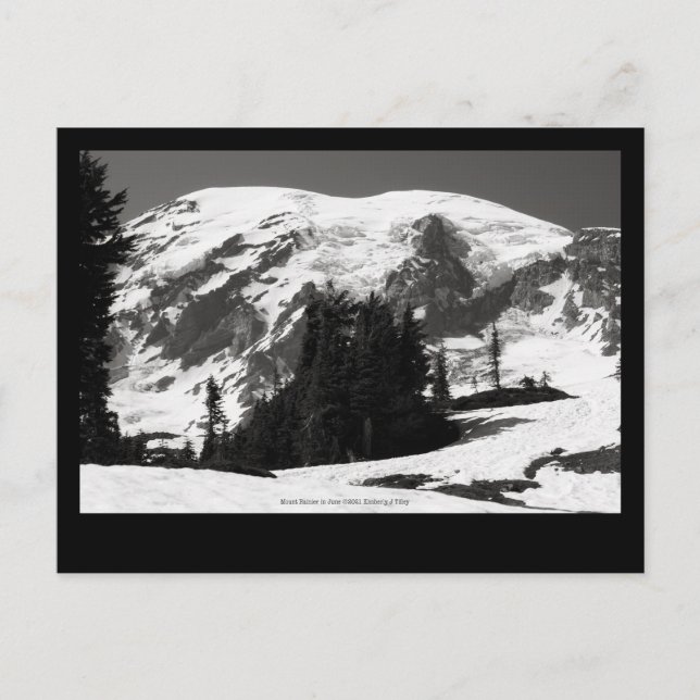 Mount Rainier in June Postcard (Front)