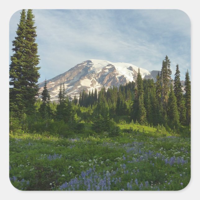 Mount Rainier Morning Light Square Sticker (Front)