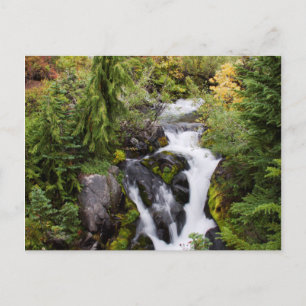 Mount Rainier National Park, autumn stream Postcard