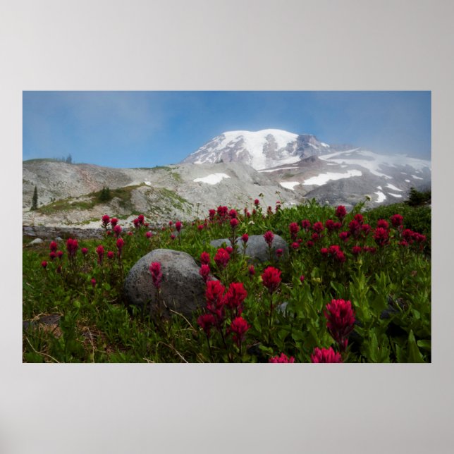 Mount Rainier National Park, Mount Rainier 1 Poster (Front)