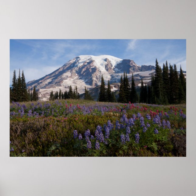Mount Rainier National Park, Mount Rainier 3 Poster (Front)