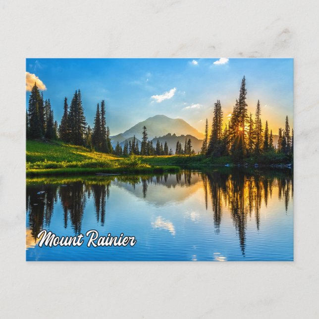 Mount Rainier National Park, Washington Postcard (Front)