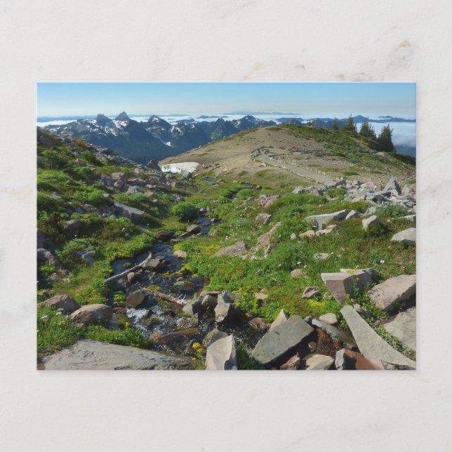 Mount Rainier Panorama Point Postcard (Front)