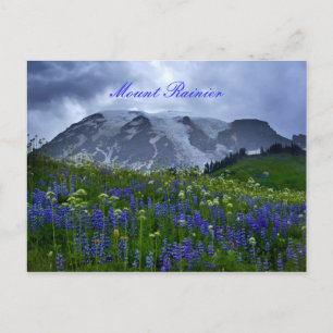 Mount Rainier post card