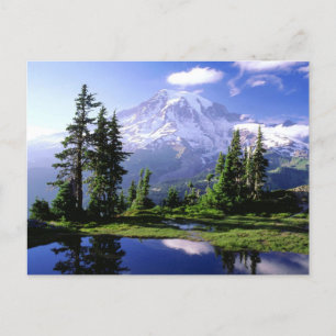 Mount Rainier Postcard