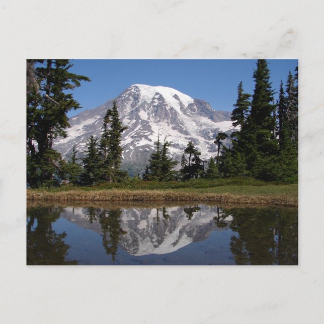 Mount Rainier Postcard (Front)