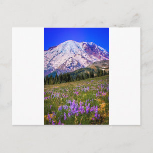 Mount Rainier Postcard