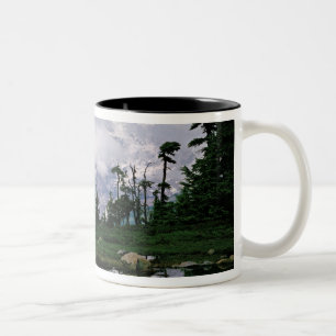 Mount Rainier relected in a mountain tarn Two-Tone Coffee Mug