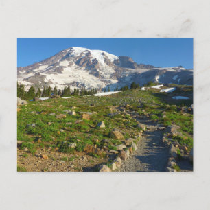 Mount Rainier Skyline Trail View Postcard
