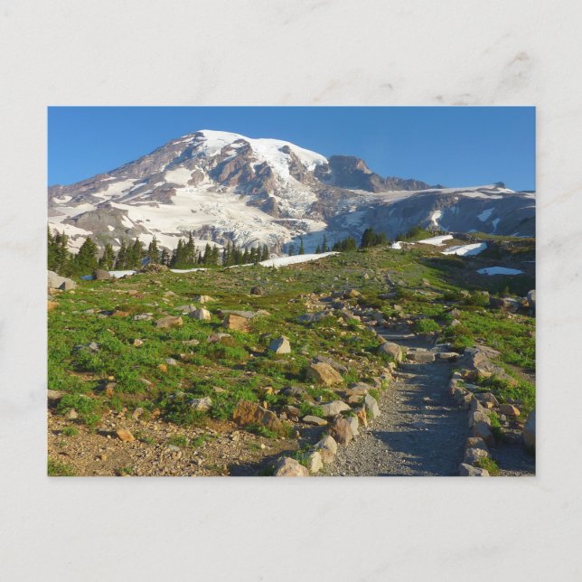 Mount Rainier Skyline Trail View Postcard (Front)