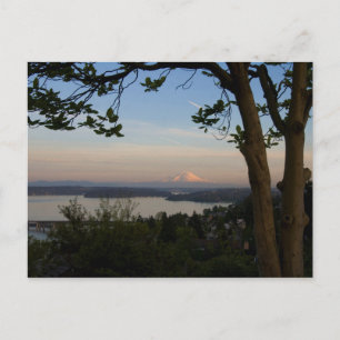 Mount Rainier Vista Postcard