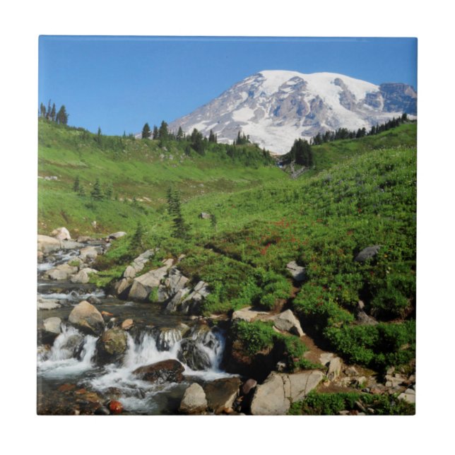 Mount Rainier, waterfall, snow-covered Tile (Front)