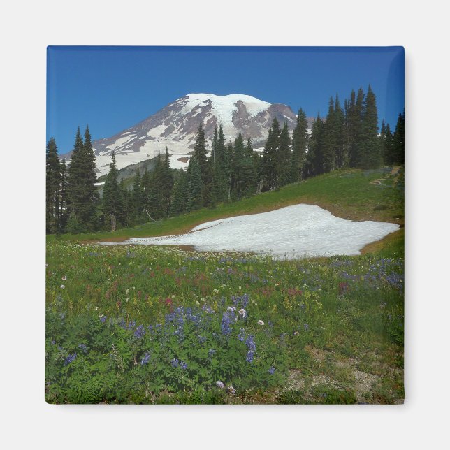 Mount Rainier, Wildflowers and Snow Magnet (Front)