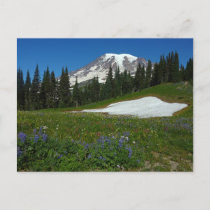 Mount Rainier, Wildflowers and Snow Postcard