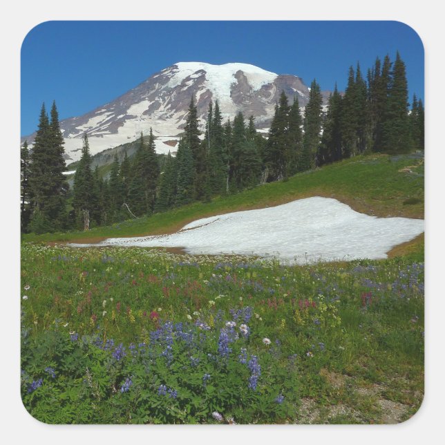 Mount Rainier, Wildflowers and Snow Square Sticker (Front)
