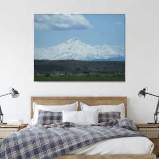 Mount Shasta and Friends Canvas Print