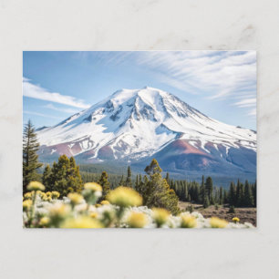Mount Shasta California Snow Top Postcard
