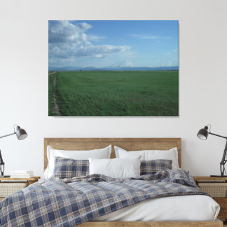Mount Shasta Runaway Bride 3 Canvas Print